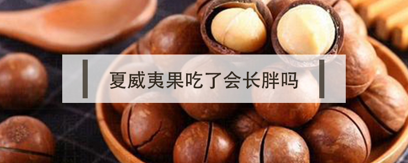 夏威夷果吃了会长胖吗