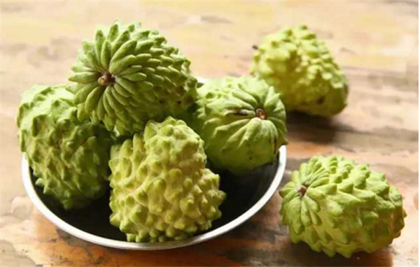 释迦果上火吗,释迦果性温吃多了会上火