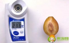 哪个品种的西梅最甜，新疆喀什法兰西西梅糖度能达到22-25%