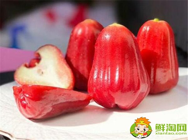 莲雾产地在哪里，莲雾产地有哪些地方