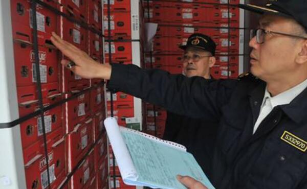 进口樱桃品种排名，樱桃品种介绍及排名