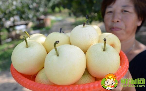 孕妇可以吃的水果排行，不同阶段孕妇必吃的五大水果