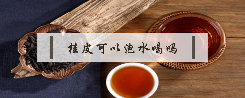 桂皮可以泡水喝吗