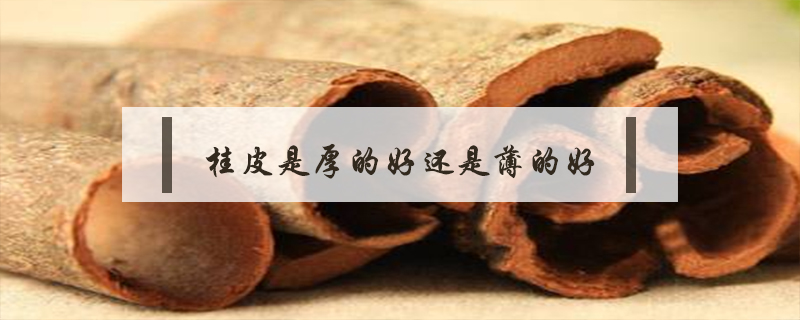 桂皮是厚的好还是薄的好