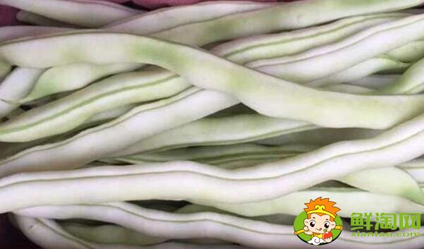 白色的豆角叫什么，白不老豆角有毒吗