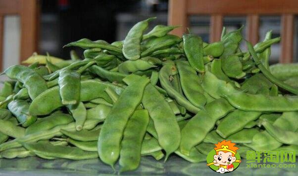 油豆角几月份收获，油豆角怎么保存时间长