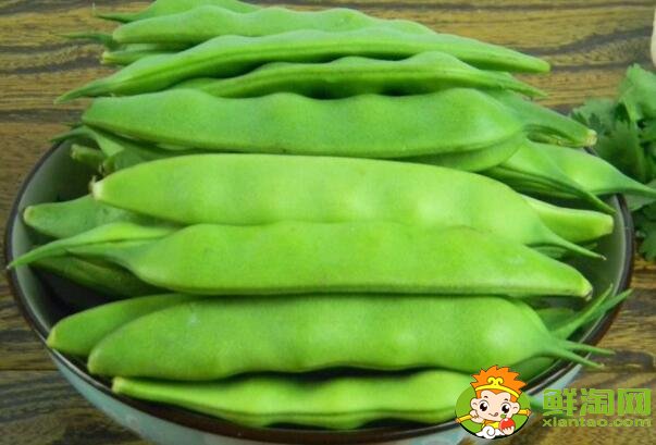 油豆角几月份收获，油豆角怎么保存时间长