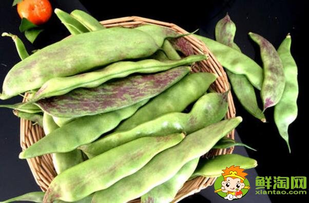 油豆角几月份收获，油豆角怎么保存时间长