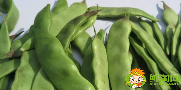 油豆角怎么挑选，油豆角怎么处理
