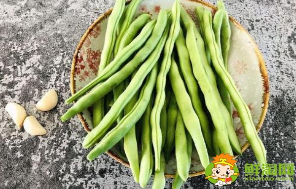 芸豆长什么样，芸豆品种图片大全
