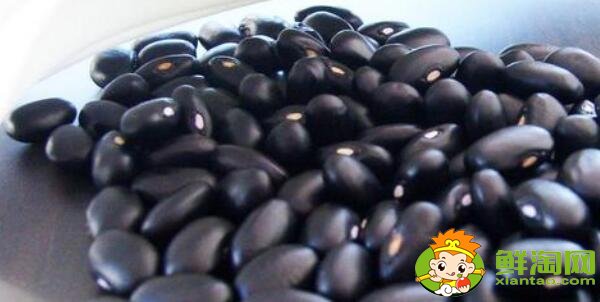 芸豆长什么样，芸豆品种图片大全