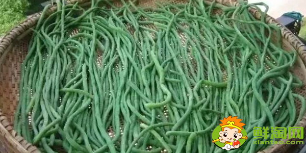 干豆角是怎么做的，生着晒干豆角行吗