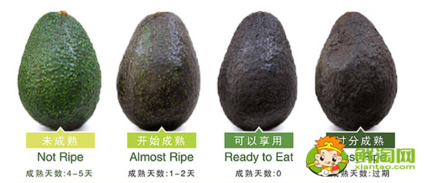牛油果怎么挑选熟的,牛油果怎么挑选那种最好