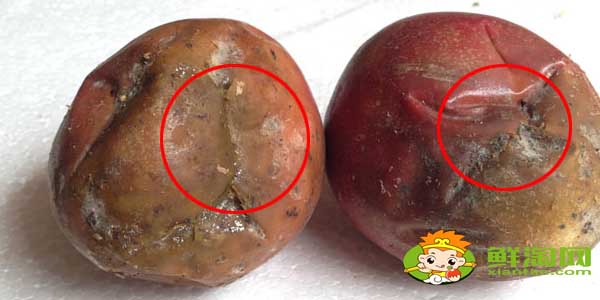 百香果怎么保存时间长,百香果变质是什么样子