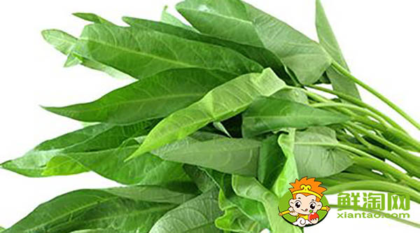 哪种空心菜好吃,空心菜和竹叶菜的区别
