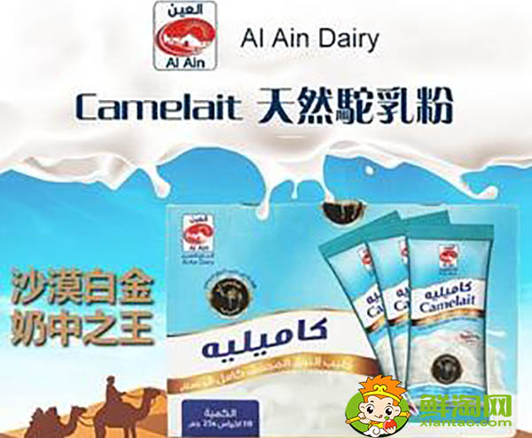迪拜骆驼奶好喝吗,哪里能买到好的骆驼奶