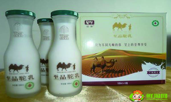 骆驼奶能降低血糖吗,血糖人一天能喝多少骆驼奶