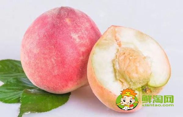 桃子和牛奶可以一起吃吗,桃子不能和什么一起吃