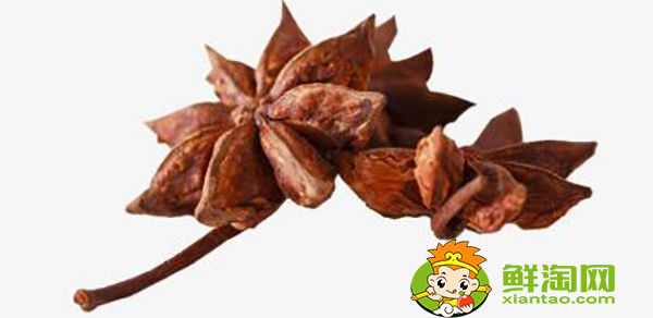 大料和八角是一个东西吗，大料和八角的区别图片