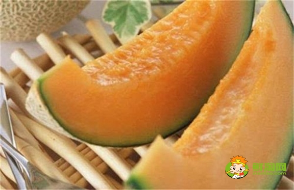 最甜的哈密瓜叫什么,哈密瓜太甜了什么情况