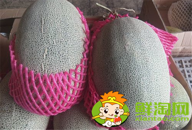 西州蜜瓜怎么挑选，西州蜜25和17区别