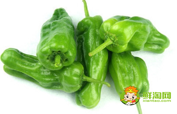 薄皮辣椒选什么种子好,高产薄皮辣椒种子是什么