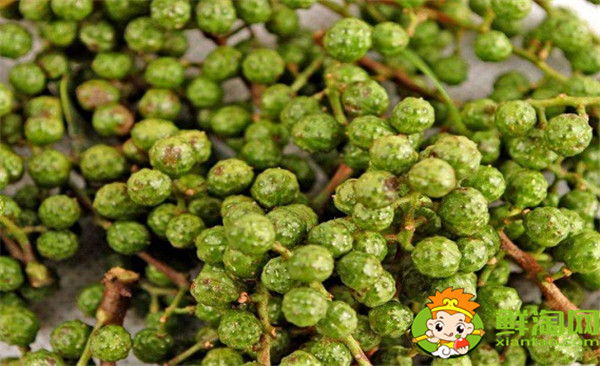 藤椒可以代替花椒吗，藤椒树和青花椒一样吗