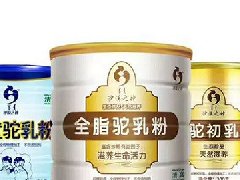 正宗的骆驼奶粉多少钱一斤，哪里能