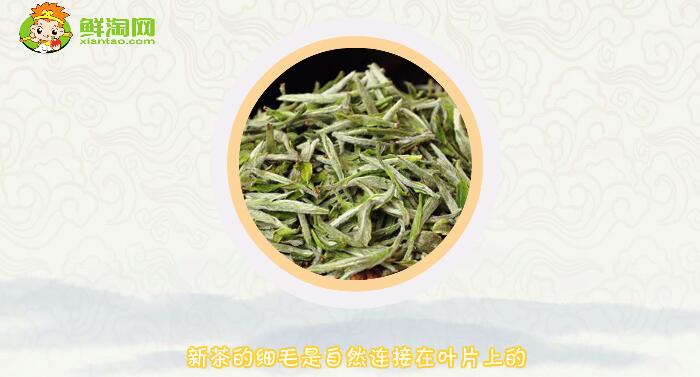 绿茶陈茶和新茶的区别