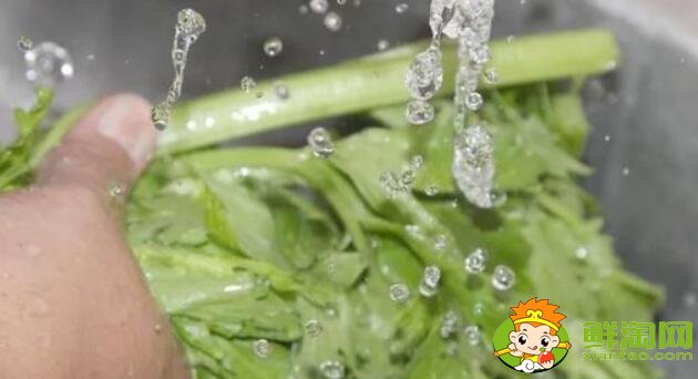洗过的芹菜怎么保存，洗好的芹菜能放多久