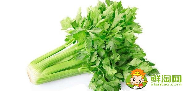洗过的芹菜怎么保存，洗好的芹菜能放多久