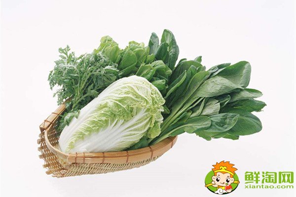 哪个季节青菜最多,什么蔬菜冬天冻不死