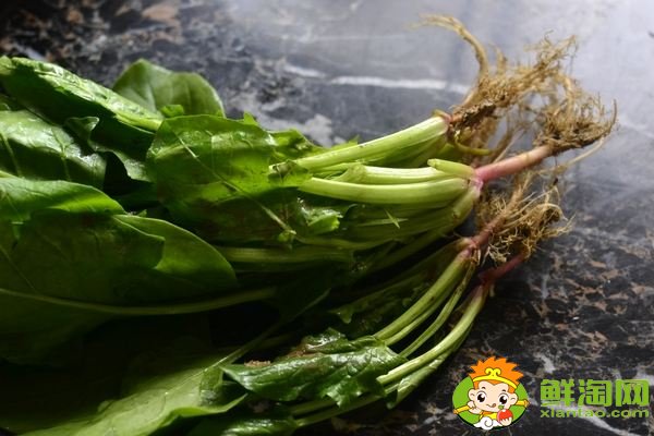 菠菜的食用部分属于叶吗,菠菜根吃了有什么好处