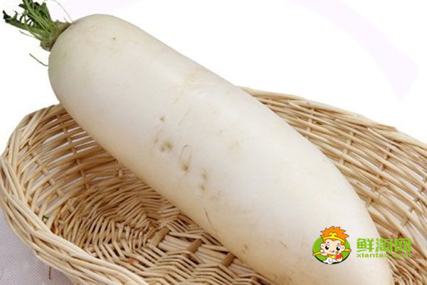 白萝卜不能和什么一起吃,白萝卜的克星有山药人参