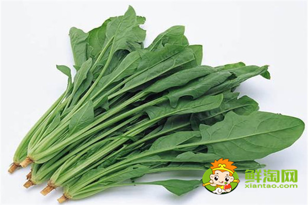 为什么菠菜不能放很长时间,菠菜可以放冰箱冷冻吗