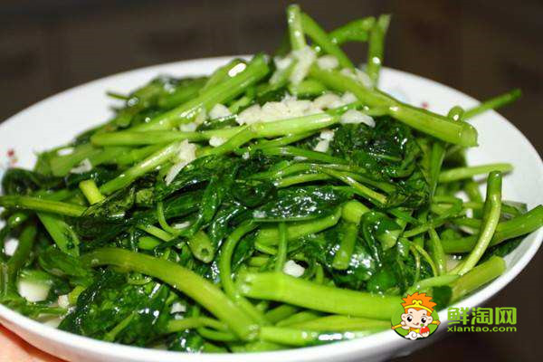 秋天为什么要少吃空心菜，这些人最好不要再吃空心菜啦！