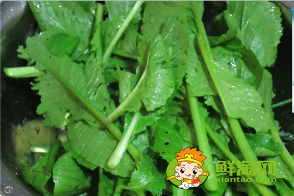 小青菜开水烫过能隔夜吗，开水烫青菜有营养吗