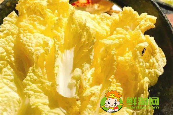 娃娃菜怎么存放时间长,娃娃菜常温能放多久