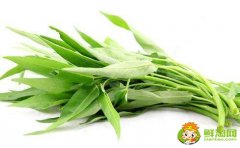 空心菜怎么择菜，空心菜为什么不用