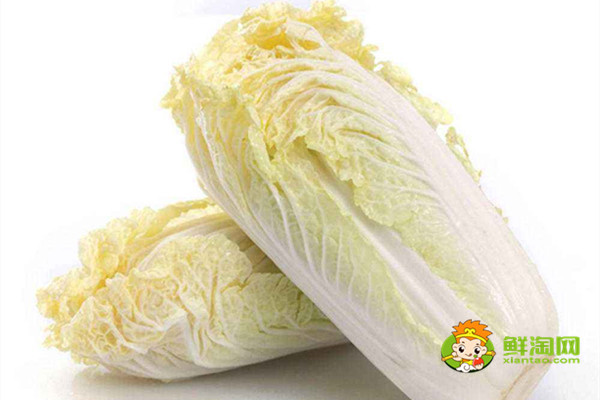 娃娃菜是白菜吗,两者的区别非常明显