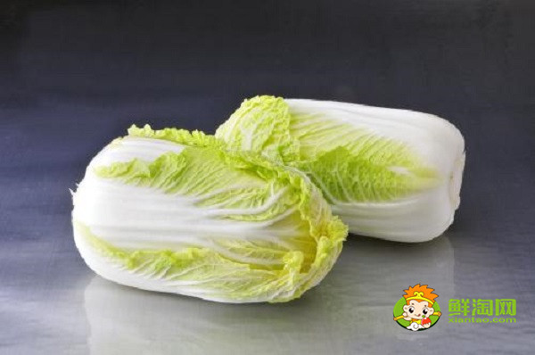 娃娃菜是白菜吗,两者的区别非常明显