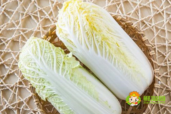 绿色的娃娃菜叫什么,原来还有这样的娃娃菜