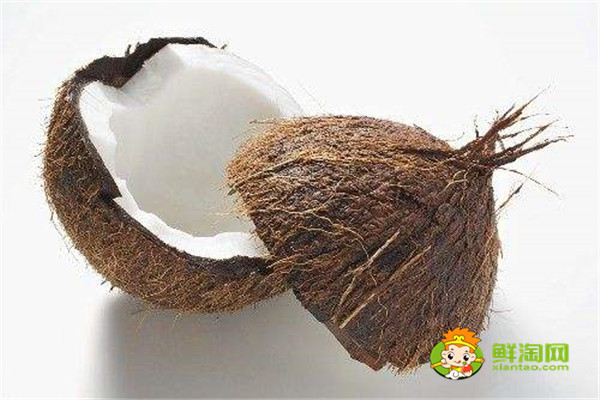 海南椰子和泰国椰子的区别,椰子什么时候成熟