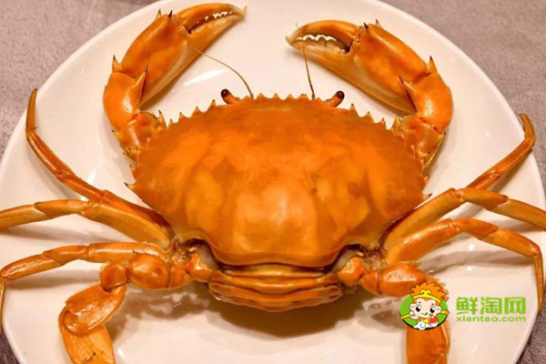 黄油蟹多少钱一个,如何挑选黄油蟹