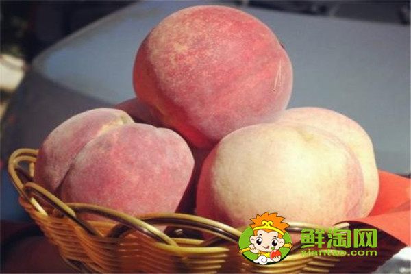 冬桃好吃吗，冬桃的种植前景如何