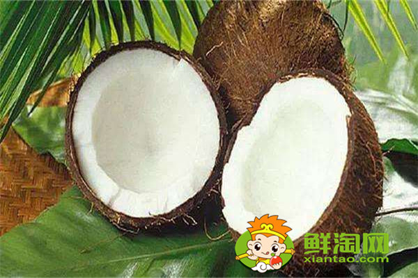 椰奶是椰汁加牛奶吗，椰青可以和牛奶混合吗