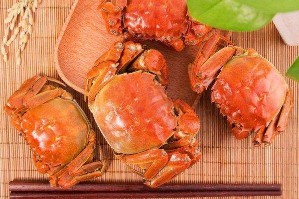 黄油蟹做法都是怎么煮,怎么区分黄油蟹