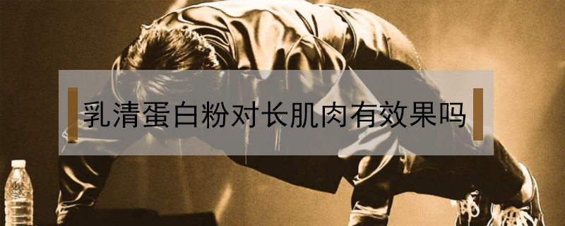 乳清蛋白粉对长肌肉有效果吗