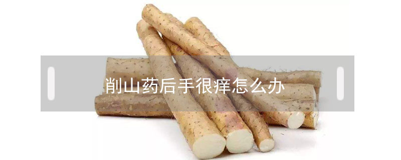削山药后手很痒怎么办