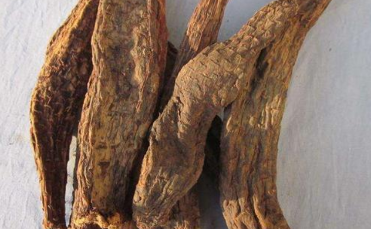肉苁蓉怎么吃